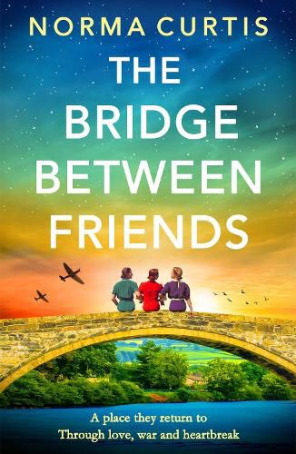 Cover image for The Bridge Between Friends