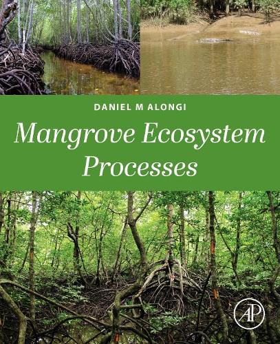 Cover image for Mangrove Ecosystem Dynamics