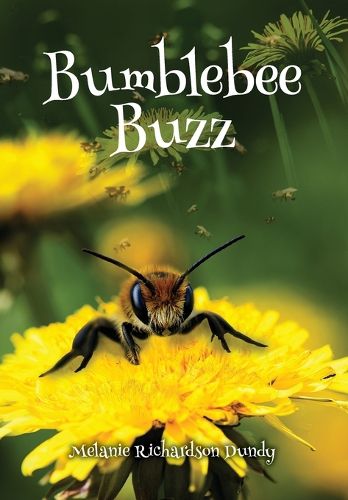 Cover image for BumbleBeeBuzz