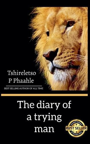 Cover image for The diary of a trying man