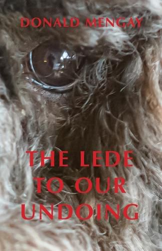 Cover image for The Lede To Our Undoing