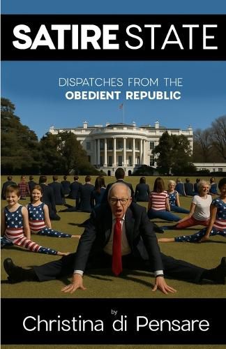 Cover image for Satire State