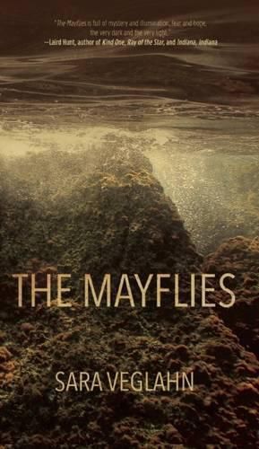 Cover image for The Mayflies