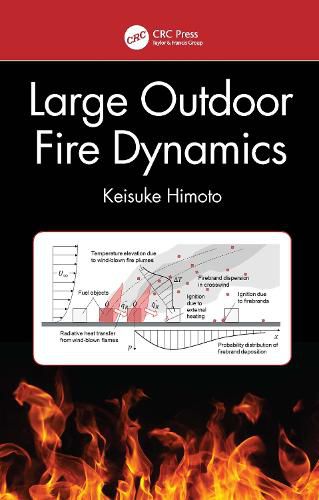 Cover image for Large Outdoor Fire Dynamics