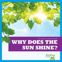 Cover image for Why Does the Sun Shine?