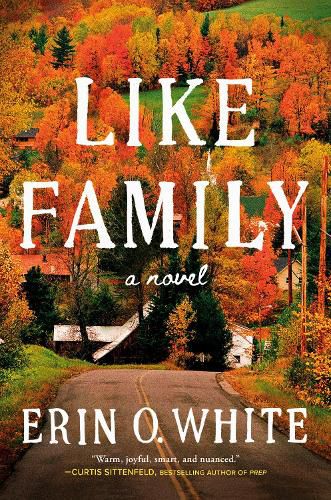 Cover image for Like Family