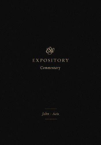 Cover image for ESV Expository Commentary: John-Acts