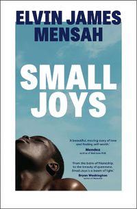 Cover image for Small Joys