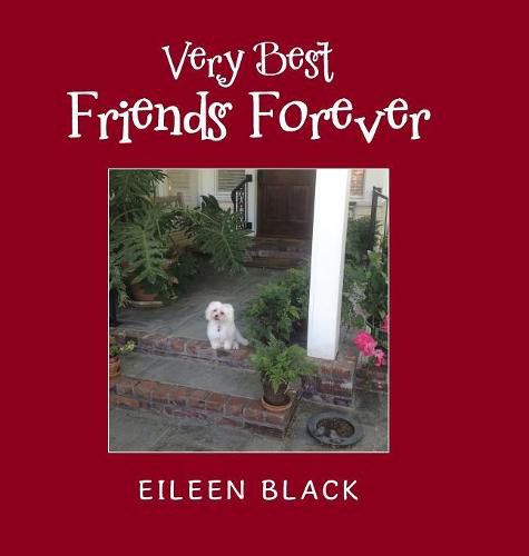 Cover image for Very Best Friends Forever