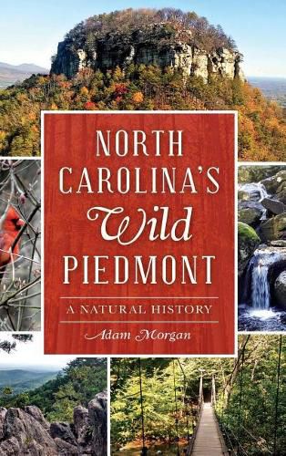 Cover image for North Carolina S Wild Piedmont: A Natural History