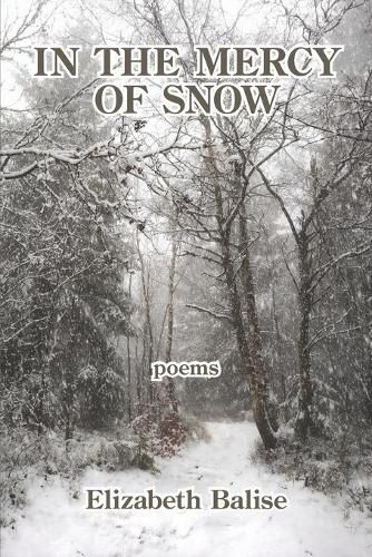 Cover image for In the Mercy of Snow