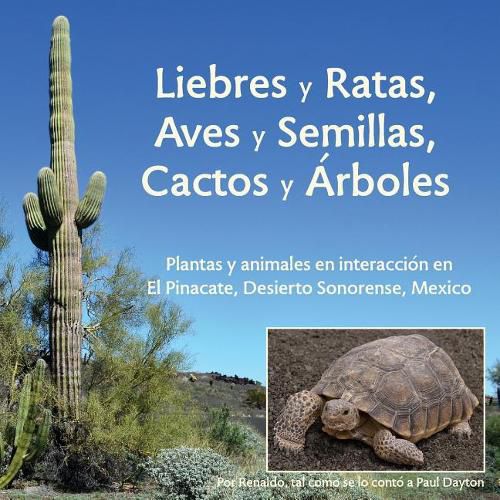 Cover image for Liebres y Ratas, Aves y Semillas, Cactos y Arboles: Plantas y animales en interaccion en El Pinacate, Desierto Sonorense, Mexico