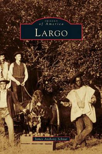 Cover image for Largo