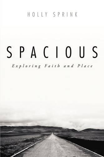 Cover image for Spacious