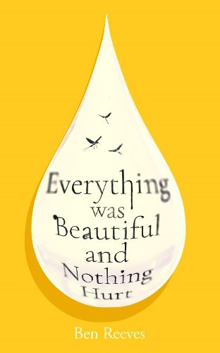 Cover image for Everything was Beautiful and Nothing Hurt