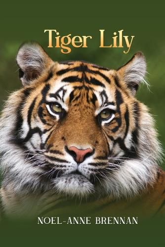 Cover image for Tiger Lily