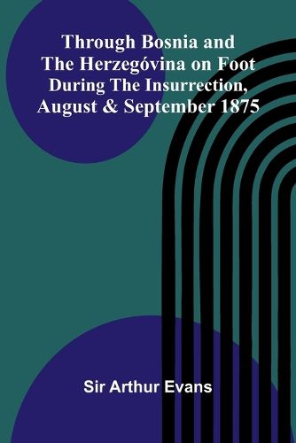 Cover image for The Mystery of the Pinckney Draught (Edition1)