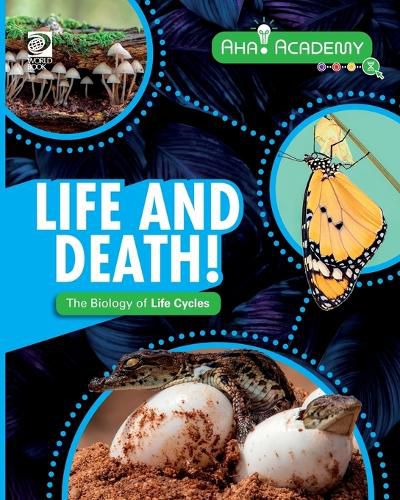Cover image for Life and Death! The Biology of Life Cycles