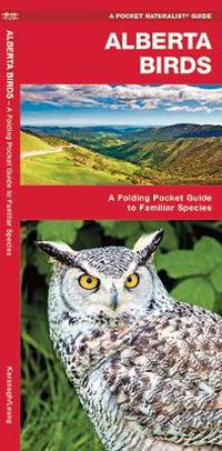 Cover image for Alberta Birds: A Folding Pocket Guide to Familiar Species