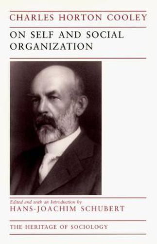 Cover image for On Self and Social Organization