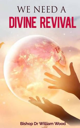 Cover image for We Need a Divine Revival