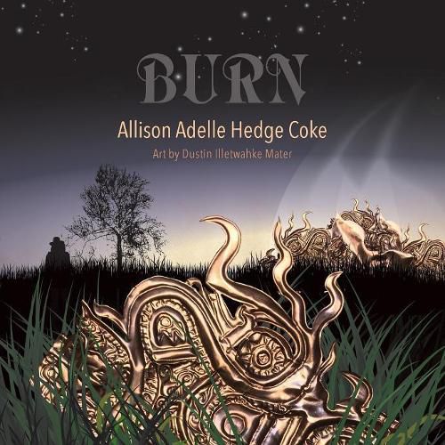 Cover image for Burn