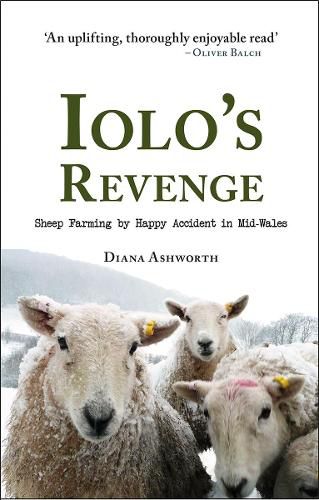 Cover image for Iolo's Revenge: Sheep Farming by Happy Accident in Mid-Wales