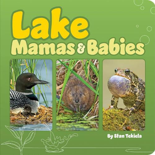 Lake Mamas and Babies