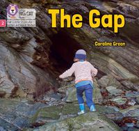 Cover image for The Gap
