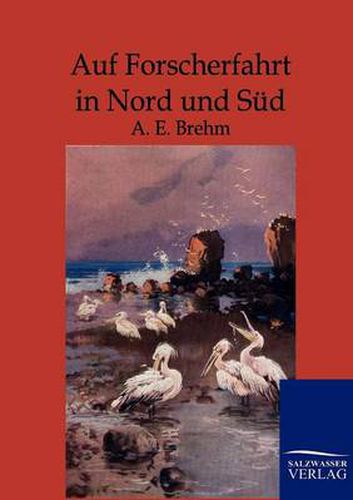 Cover image for Auf Forscherfahrt in Nord und Sud