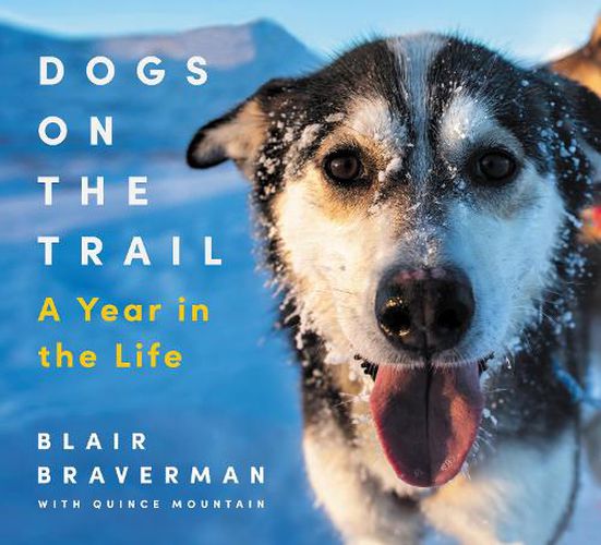 Cover image for Dogs on the Trail a Year in the Life