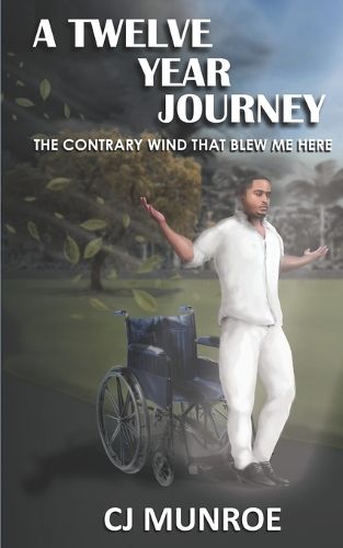 Cover image for A Twelve Year Journey