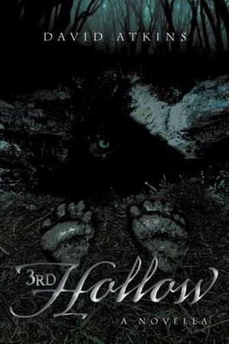 Cover image for 3rd Hollow
