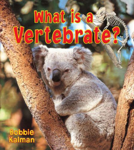 Cover image for What is a Vertebrate