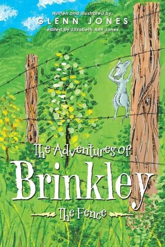 Cover image for The Adventures of Brinkley