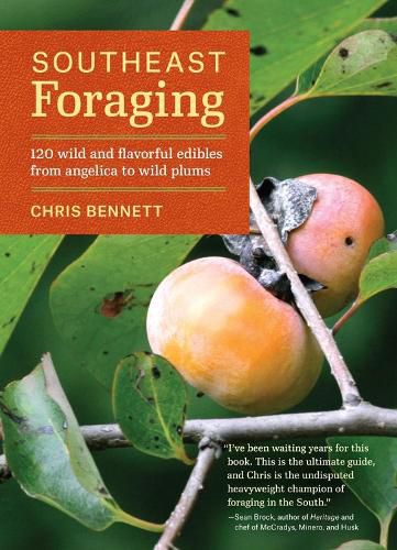 Cover image for Southeast Foraging