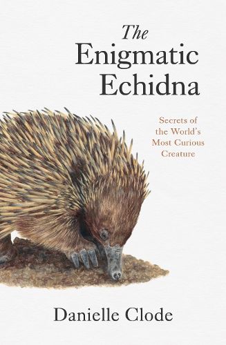 Cover image for The Enigmatic Echidna