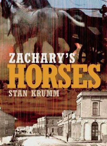 Cover image for Zachary's Horses