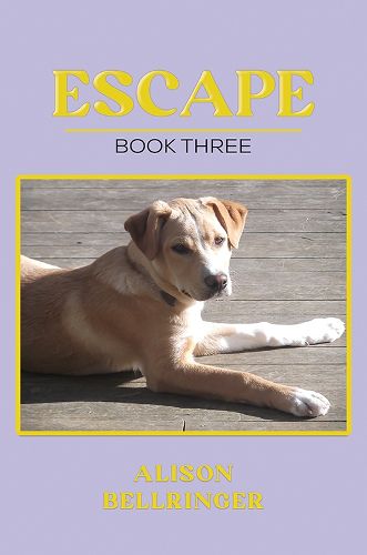 Cover image for Escape
