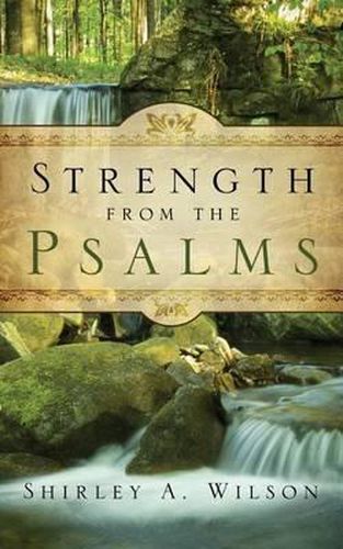 Cover image for Strength from the Psalms