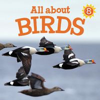 Cover image for All about Birds: English Edition