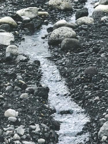 Cover image for Riverbed: Olafur Eliasson at Louisiana