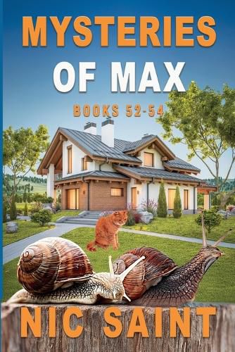 Cover image for Mysteries of Max