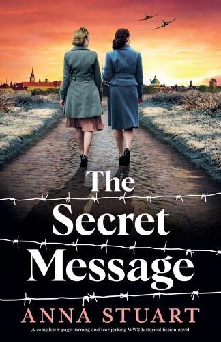 Cover image for The Secret Message