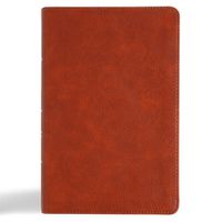 Cover image for CSB Large Print Personal Size Reference Bible, Digital Study Edition, Burnt Sienna Leathertouch