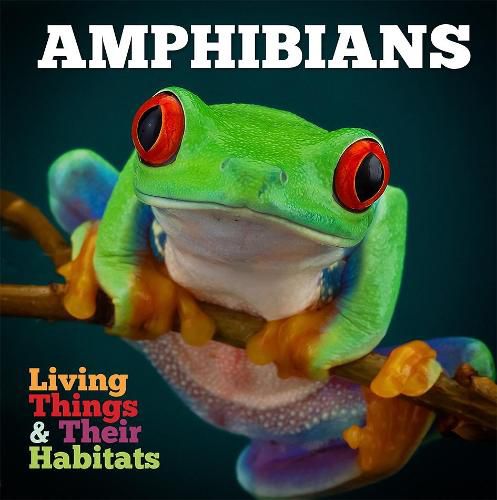 Cover image for Amphibians