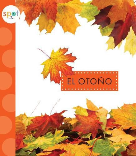 Cover image for El Otono