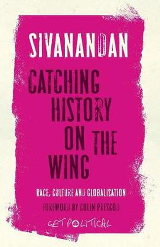 Cover image for Catching History on the Wing: Race, Culture and Globalisation