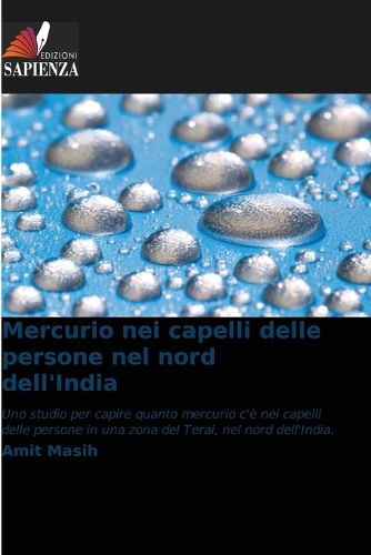 Cover image for Mercurio nei capelli delle persone nel nord dell'India