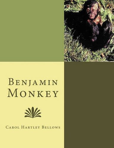 Cover image for Benjamin Monkey